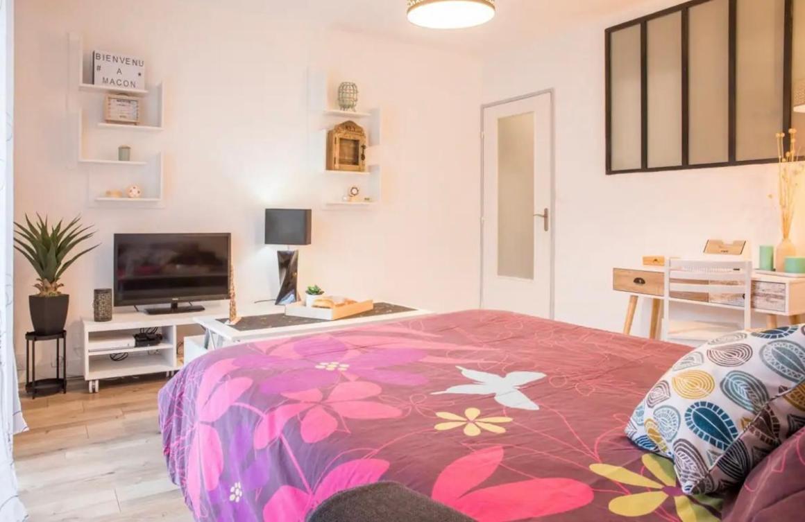 Charmant Appartement T1 Mâcon מראה חיצוני תמונה